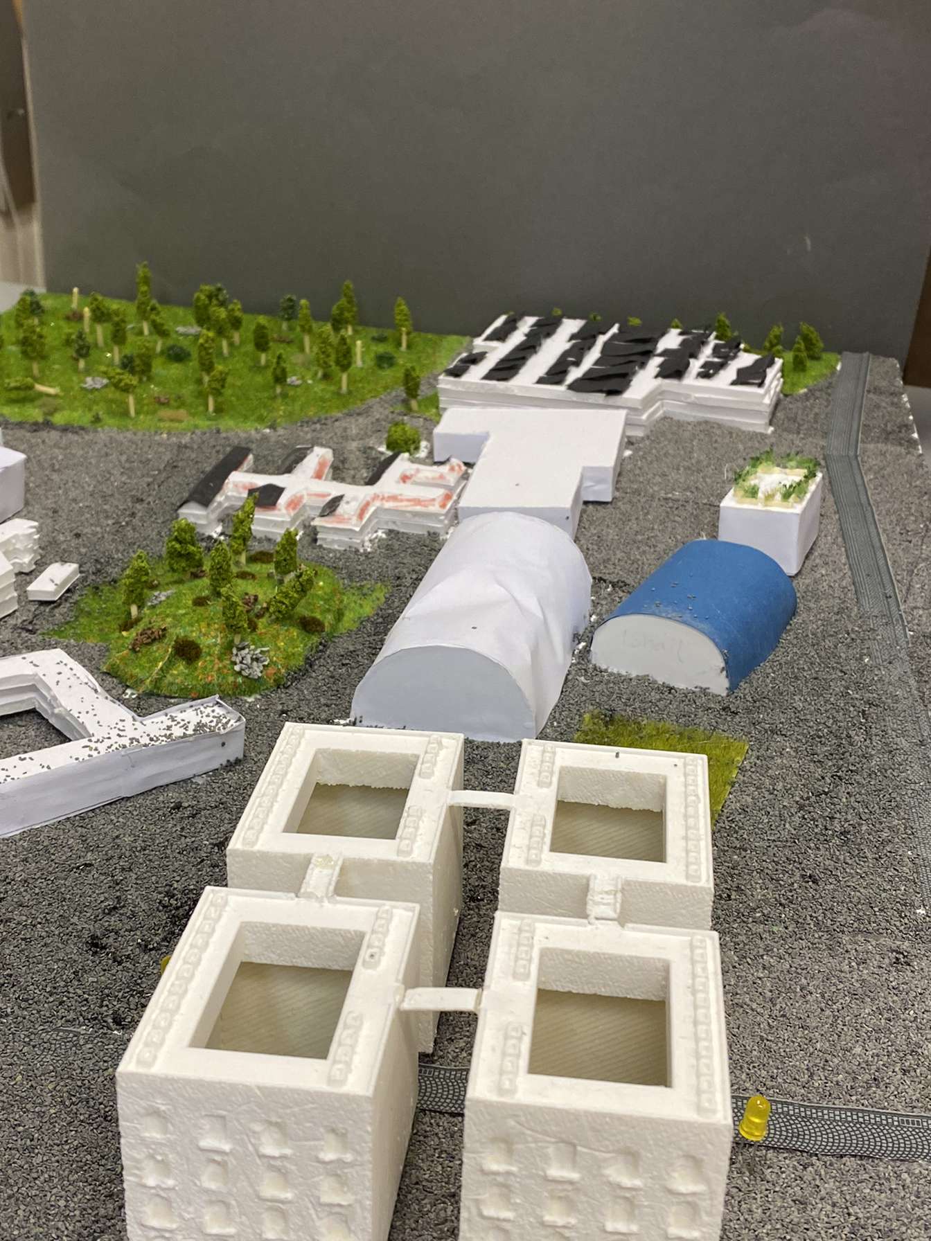 Blid på hus med växthus i bakgrund